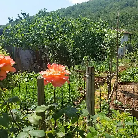 Beni-1 By Interhome 마툴지